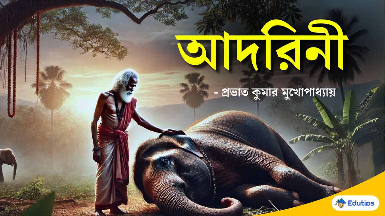 ‘আদরিনী’ গল্প MCQ প্রশ্ন উত্তর প্রভাত কুমার মুখোপাধ্যায় (উচ্চমাধ্যমিক তৃতীয় সেমিস্টার)