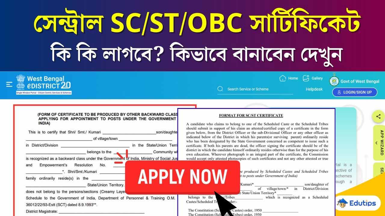 How to Apply Central Format SC/ST/OBC Certificate BDO SDO Office Westbengal