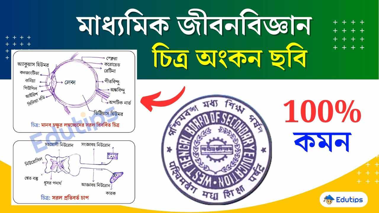 Madhyamik Life Science Suggestion Diagram Common