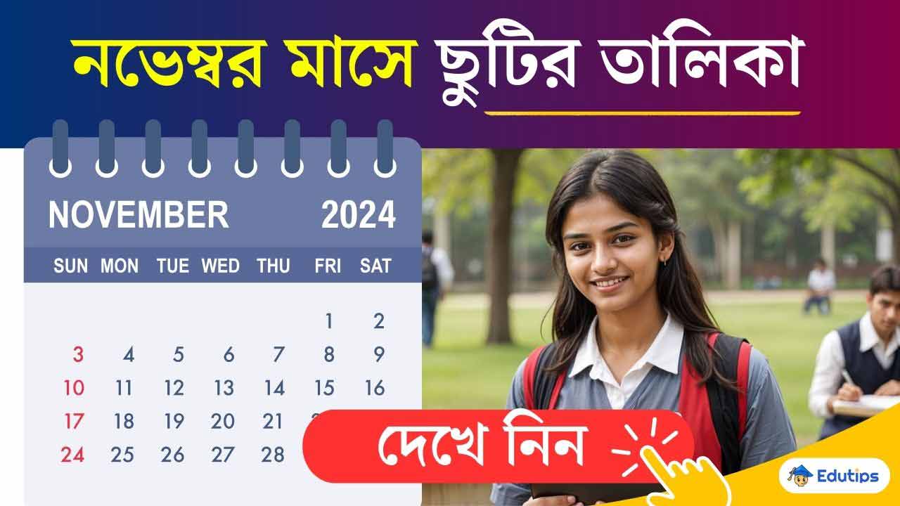 November School College Holidaye 2024